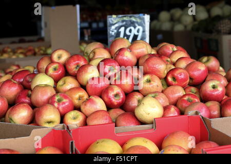 Äpfel im Karton zum Verkauf auf dem Markt Stockfoto