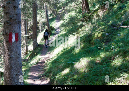 Weibliche Wanderer Wanderungen im Wald. Fotografiert in Tirol, Österreich Stockfoto