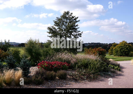 RHS HYDE HALL ESSEX. DER CHEMISCHE GARTEN IM HERBST. VEREINIGTES KÖNIGREICH. Stockfoto