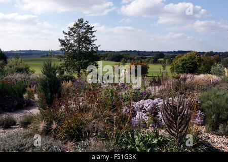 RHS HYDE HALL ESSEX. DER CHEMISCHE GARTEN IM HERBST. VEREINIGTES KÖNIGREICH. Stockfoto