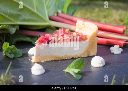 Rhabarber-Kuchen-Scheibe zwischen Rhabarber, Minze und Pannacotta, im Garten Stockfoto