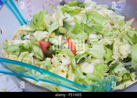 Frühling Kohlsalat, Kohl, Gurken, Dill, Tomaten und Stockfoto