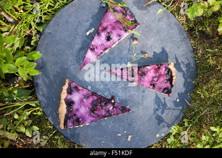 Blueberry Pie Stücke, in der Nähe von Vaccinium Myrtillus Beeren und Pflanzen Stockfoto