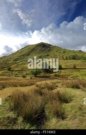 Sommer Blick über Hartsop Dodd fiel, Nationalpark Lake District, Grafschaft Cumbria, England, UK. Stockfoto