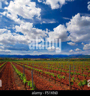 La Rioja Weinberg Felder durch den Jakobsweg in Logrono Stockfoto