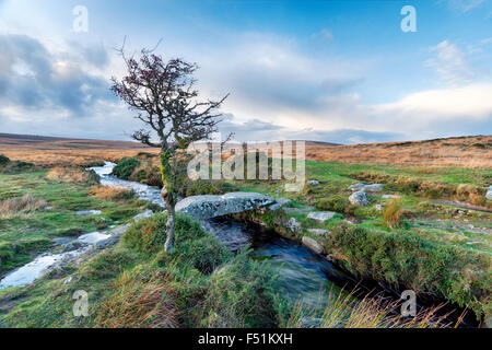 Ein kleiner Stein Klöppel Brücke über Walla Bach an Scorhill auf Dartmoor in Devon Stockfoto