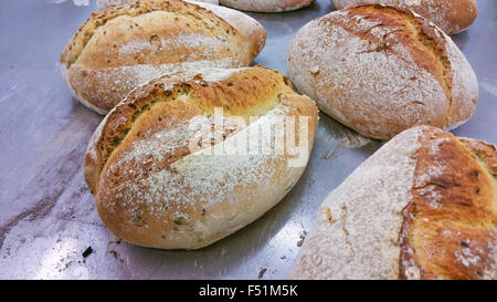 Ein paar Ofen gebackenes Brot Brote auf einem Metall-Tisch Stockfoto