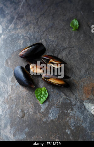 Meeresfrüchte, Muscheln in der Schale, Draufsicht Essen kochen Stockfoto