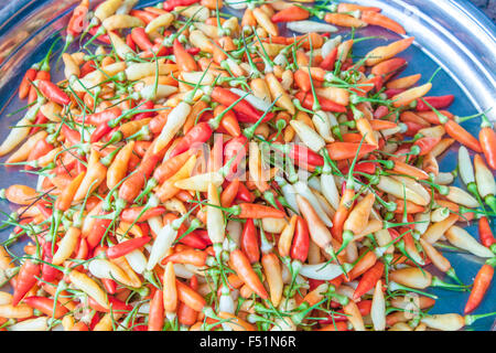 Viel frische, gelbe, rote und orange Capsicum Frutescens, Chili Peppers, auf einem Markt in Phu Quoc, Vietnam Stockfoto