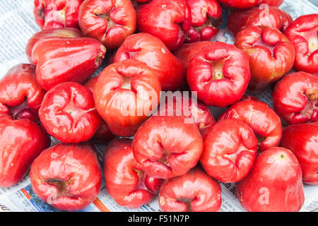 Viele rote Java Äpfel, Syzygium Samarangense, auf einem Markt in Phu Quoc, Vietnam Stockfoto