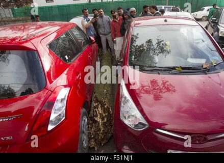 Srinagar, Kaschmir Indien kontrollierten. 26. Oktober 2015. Kaschmirischen Bevölkerung stehen in der Nähe von einem gefallenen Baumstamm nach einem schweren Erdbeben in Srinagar, Sommer in der Hauptstadt von Indien kontrollierten Kaschmir, am 26. Oktober 2015. Ein schweres Erdbeben getroffen Montag Indien kontrollierten Kaschmir und seinen angrenzenden Gebieten, sagten Beamte. Nach Meteorological Department Beamten in Srinagar ereignete Sommerhauptstadt von Indien kontrollierten Kaschmir, das Erdbeben der Stärke 7,5 auf der Richterskala sich um 14:39 Ortszeit. Bildnachweis: Javed Dar/Xinhua/Alamy Live-Nachrichten Stockfoto