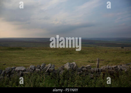 Blick über Nidderdale von Greenhow Hügel. Yorkshire, England, Vereinigtes Königreich. Dies ist ein landwirtschaftliches Gebiet, wo ländliche Leben auf dem Lande befindet sich im Zentrum des Lebens in dieser nördlichen Region. Nidderdale gehört der Yorkshire Dales (obwohl außerhalb der Yorkshire Dales National Park). Es ist das obere Tal des Flusses Nidd, der Süden unter der Erde fließt und dann entlang der Dale. Stockfoto