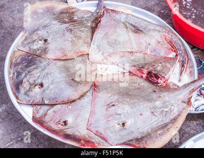 Ein Großteil der Plattfische Flunder, auf einem Markt in Phu Quoc, Vietnam Stockfoto