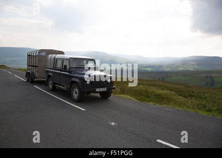 Landwirt in seinem Landrover mit Viehanhänger Swaledale mit Birkdale hinter durchfahren. Swaledale ist eine typische Kalkstein Yorkshire Dale, mit schmalen Talboden Straße, grüne Wiesen und Fjällflanken Felder, weiße Schafe und Trockenmauern auf den Gletscher geformten Talseiten und dunkler Moorland Skyline. Yorkshire, England, Vereinigtes Königreich. Dies ist ein landwirtschaftliches Gebiet, wo ländliche Leben auf dem Lande befindet sich im Zentrum des Lebens in dieser nördlichen Region. Stockfoto