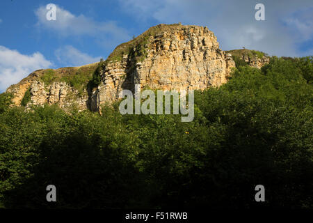 Sandstein-Klippen bei Sutton Bank, auch bekannt als Roulston Narbe ist ein Hügel im Stadtteil Hambleton von den North York Moors National Park, North Yorkshire in England, UK. Es ist ein Höhepunkt auf den Hambleton Hügeln mit einen herrlichen Blick über das Vale of York und Vale Mowbray. Stockfoto