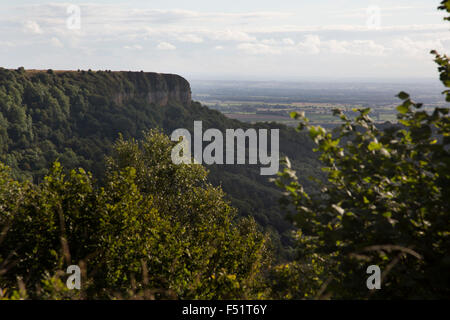 Sutton Bank, auch bekannt als Roulston Narbe ist ein Hügel im Stadtteil Hambleton von den North York Moors National Park, North Yorkshire in England, UK. Es ist ein Höhepunkt auf den Hambleton Hügeln mit einen herrlichen Blick über das Vale of York und Vale Mowbray.  Dies ist ein landwirtschaftliches Gebiet, wo Landleben und die Natur steht im Mittelpunkt des Lebens in dieser Gemeinde. Stockfoto