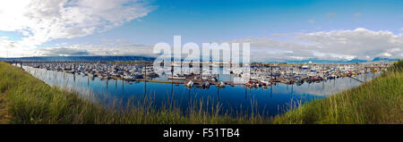 Panorama-Blick von Fischerbooten, Homer Harbor, Homer, Alaska, USA Stockfoto