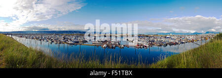 Panorama-Blick von Fischerbooten, Homer Harbor, Homer, Alaska, USA Stockfoto