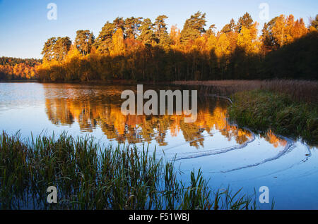 Herbststimmung von "Pinnsee" (See), Stockfoto