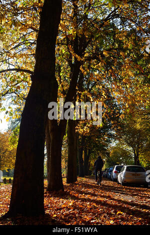 Herbst in Luton, Bedfordshire Stockfoto