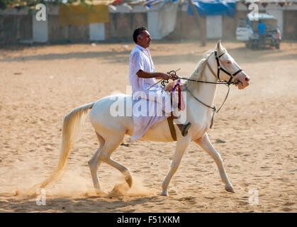 Ein nicht identifizierter Fahrer auf einem weißen Pferd besucht auf der Pushkar Messe in Pushkar, Rajasthan, Indien. Stockfoto