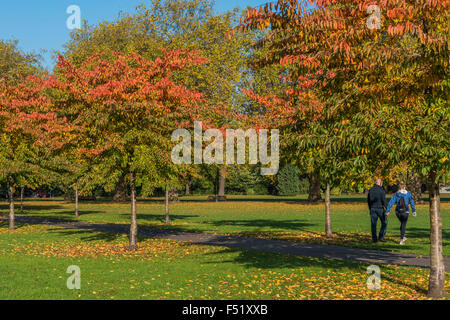 Battersea, London, UK. 26. Oktober 2015. UK Wetter: Knackig Sonnenwetter bringt der Herbst Farben und Leute, die Übung im Battersea Park. Bildnachweis: Guy Bell/Alamy Live-Nachrichten Stockfoto