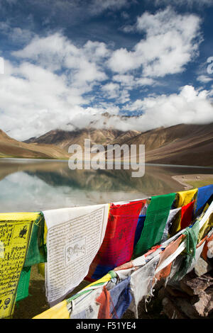 Indien, Himachal Pradesh, Spiti, Chandra Taal, Full Moon Lake Gebetsfahnen im frühen Morgenlicht Stockfoto