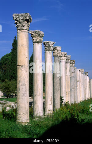 Türkei, Ephesus, Agora, römische korinthische Säulen Stockfoto