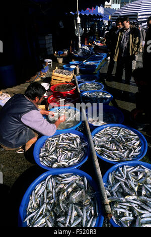 Türkei, Istanbul, Fischmarkt Stockfoto