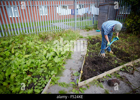 Affinität Sutton sonnigen Braue Lounge in Gorton resident arbeiten auf seiner Zuteilung Raum Gartenarbeit arbeiten hart überwucherten Unkraut Stockfoto