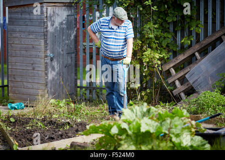 Affinität Sutton sonnigen Braue Lounge in Gorton resident arbeiten auf seiner Zuteilung Raum Gartenarbeit arbeiten hart überwucherten Unkraut Stockfoto