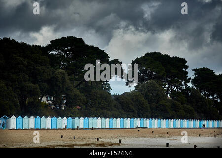 Mudeford in Dorset Avon Strand Strand Hütten viele viele Landschaft Bäumen Südküste Großbritannien Großbritannien britische Großbritannien Europa Stockfoto