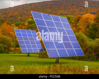 Sonnenkollektoren in der Natur, umgeben von Herbstlaub Stockfoto