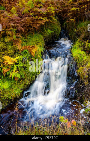 Ein Wasserfall in der Nähe von Loch Drunkie im Loch Lomond und Trossachs National Park Stockfoto