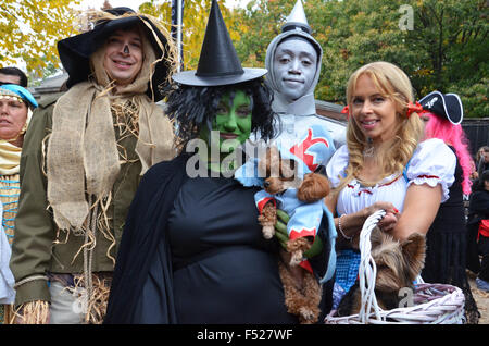 Halloween-Hund parade Tompkins Square NewYork 2015 Stockfoto