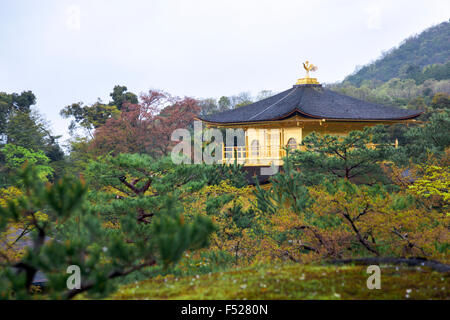 Kinkaku-Ji - der goldene Pavillon, Kyoto, Japan Stockfoto