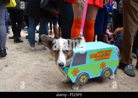 Halloween-Hund parade Tompkins Square NewYork 2015 Stockfoto