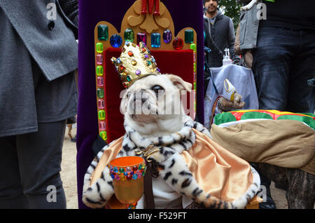 Halloween-Hund parade Tompkins Square NewYork 2015 Stockfoto