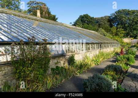 Gewächshaus in den Garten des Quex Park in Kent. Stockfoto