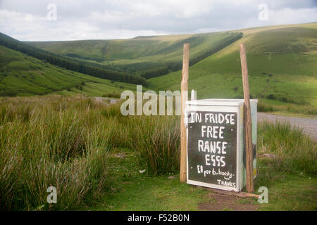 Isolierte Ehrlichkeit Box Freilandeier zum Verkauf im Kühlschrank auf abgelegenen Landstraße Evangelium weitergeben Powys Wales UK Stockfoto