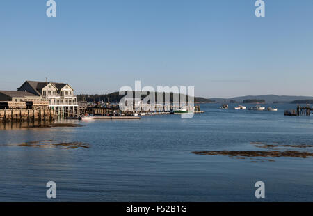 Dorf von Stonington Harbor, Küste von Deer Isle, Maine, USA Stockfoto