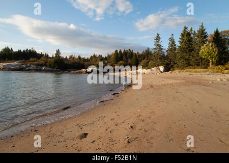 Stonington Strand, Deer Isle, Maine, USA Stockfoto