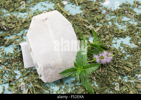 Minze-Tee-Beutel und frischer Minze Pflanze auf den Tisch Stockfoto