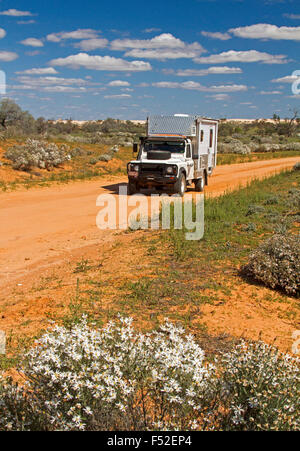 Land Rover Wohnmobil auf roter Feldweg gesäumt mit Wildblumen, Olearia Pimeleiodes, weiße Gänseblümchen im Outback Australien. Stockfoto