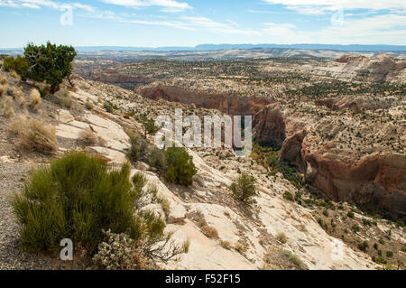 Ansicht im Grand Staircase Escalante National Monument, Utah, USA Stockfoto