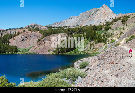 Wanderer auf der Virginia-Seenweg in der östlichen Sierra in Nordkalifornien Stockfoto