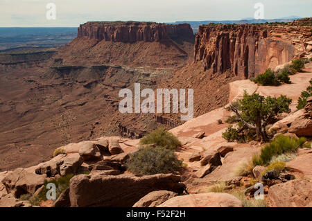 Grand View Point Overlook, Canyonlands NP, Utah, USA Stockfoto