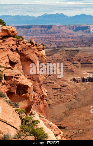 Grand View Point Overlook, Canyonlands NP, Utah, USA Stockfoto