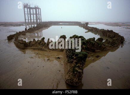 AJAXNETPHOTO. 28. AUGUST 1984. BULVERHYTHE BAY, NR HASTINGS, ENGLAND.  -AMSTERDAM WRACK - HÖLZER DES 18. JAHRHUNDERTS NIEDERLÄNDISCH OST INDIEN CO., HANDELSSCHIFF RAGEN ÜBER DEN SAND. SIE KÖNNEN NUR BEI NIEDRIGEM WASSER QUELLEN GESEHEN WERDEN. SCHIFF ZERSTÖRT WURDE, IN EINEM KANAL STURM AM 26. JANUAR 1749 UND 1969 WIEDERENTDECKT.  FOTO: JONATHAN EASTLAND/AJAX.  REF: CD215011 42 Stockfoto