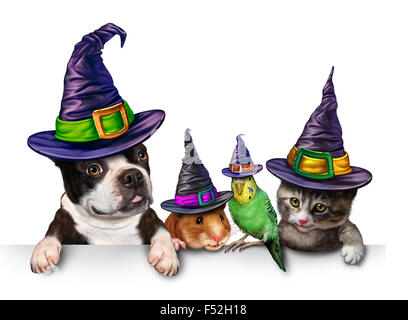 Halloween-Pet leere Zeichen mit einem lustigen Katze glücklicher Hund süße Hamster und Wellensittich jeweils eine Hexe Hut Kopf tragen als Herbst Saison Symbol für lustige Haustiere in Kostüm Kleid. Stockfoto